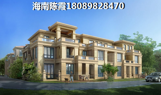 洋浦PK江东新区周边配套对比分析！海南洋浦有什么发展前景？